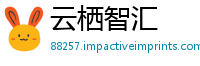 云栖智汇